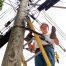 Protect Against the Top 10 Utility Line Worker Hazards