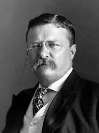 Theodore Roosevelt and the Meat Inspection Act - Online Safety Trainer