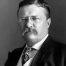 President_Theodore_Roosevelt_Meat_Inspection_act