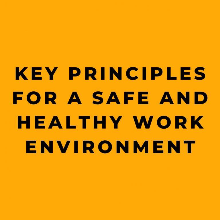 Safe Practice Environment Key Principles for a Safe and Healthy Work Environment