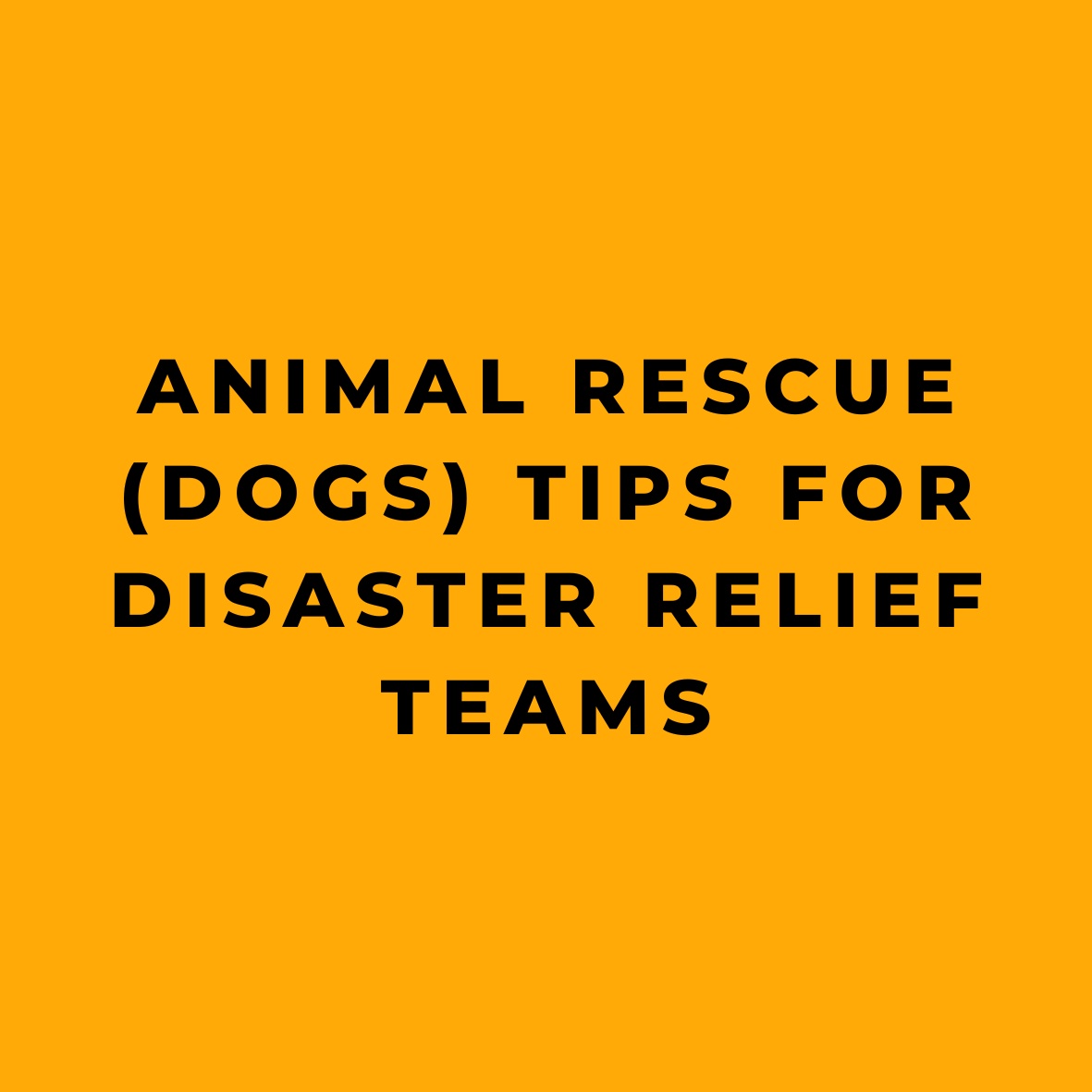 Animal Rescue (Dogs) Tips for Disaster Relief Teams