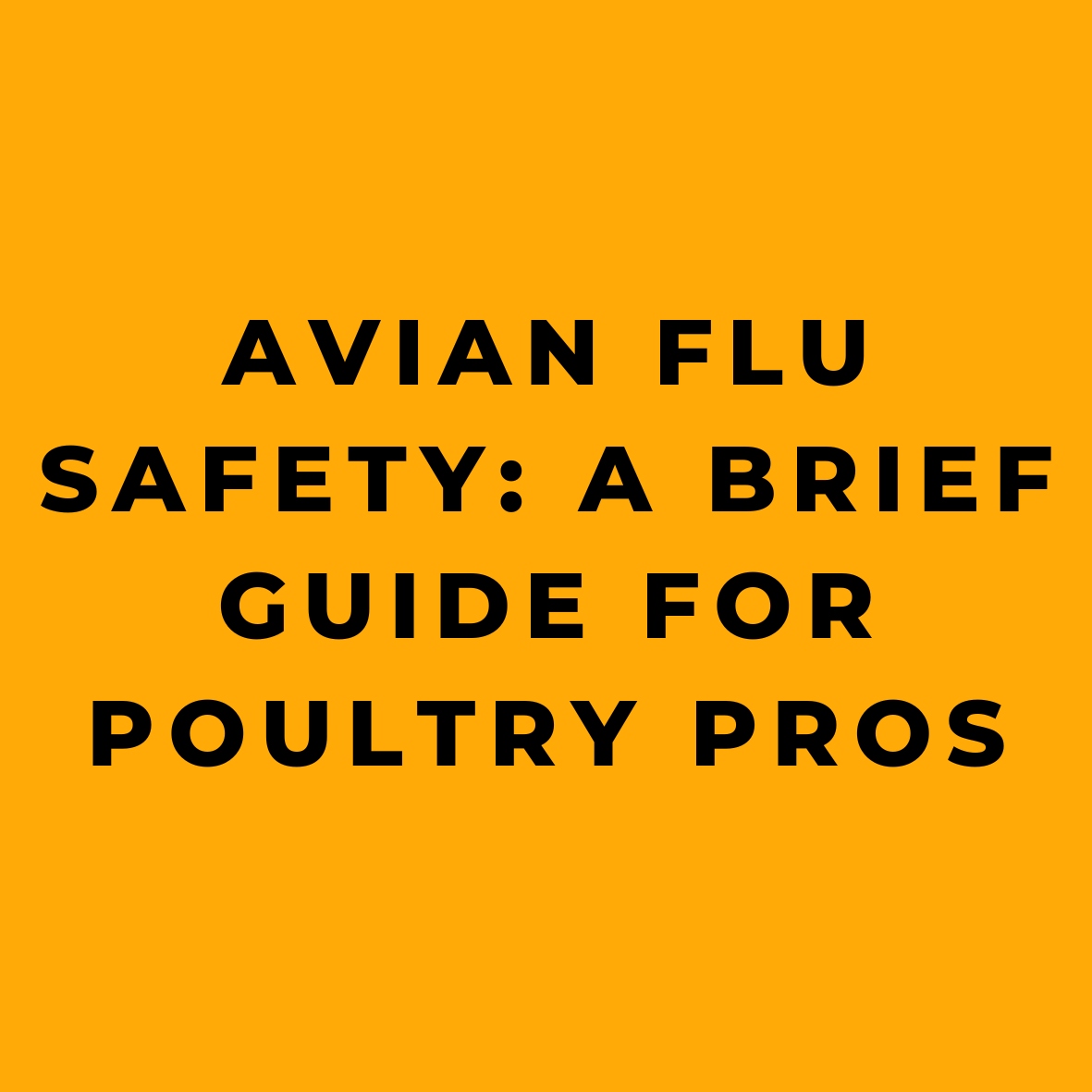 Avian Flu Safety A Brief Guide for Poultry Pros