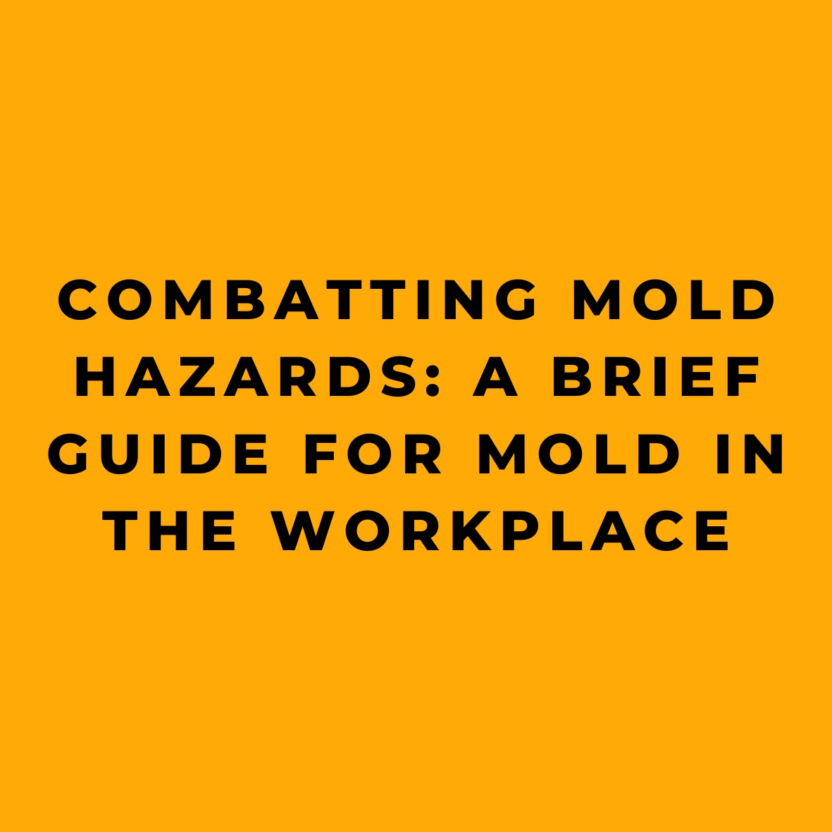Combatting Mold Hazards A Brief Guide for Mold in the Workplace