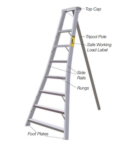 Tripod Orchard Ladder