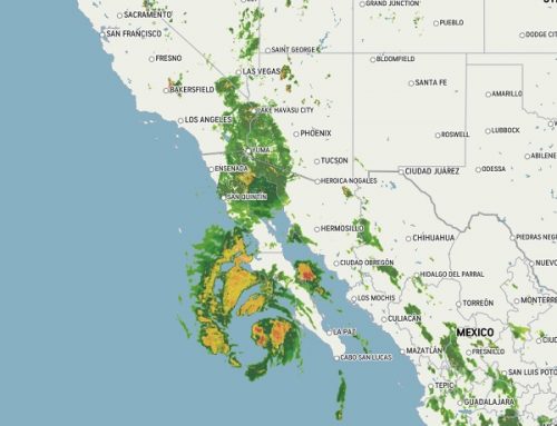 Update on Hurricane Hilary: Latest News and Flood Mitigation Strategies