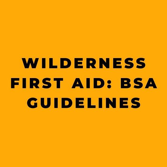 Wilderness First Aid BSA Guidelines
