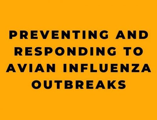 Preventing and Responding to Avian Influenza Outbreaks