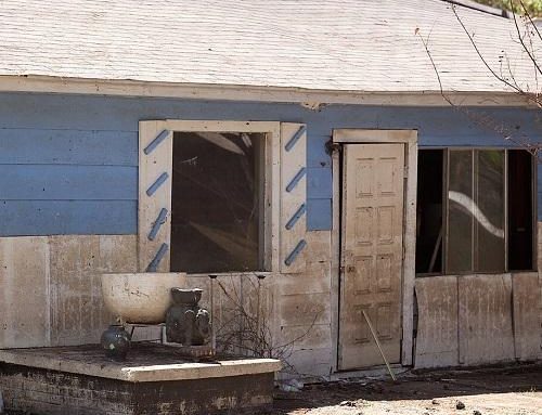 Mold in the Workplace: A Guide to Prevention, Identification, Remediation