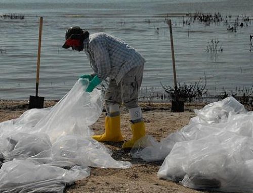 Oil Spill Cleanup Safety: A Brief Guide for Workers